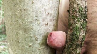 Onanism outside with a tree and huge popshot mitts free-for-all