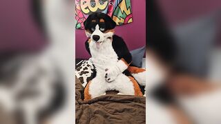 POURING JIZM @AngryBarks edges with you to denied ejaculation over and over until both of you..