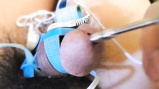 have fun with pecker