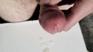 Begging and nibbling have fun, cute with