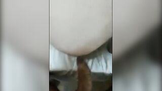 Breeding The Granddad