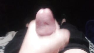 Fledgling Joe pop-shot