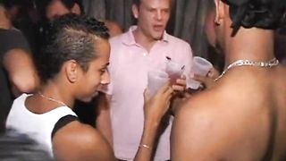 Wolf slams tight ass & tight hole in wild anal session