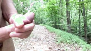 On the trail with the beasts