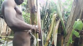 Dude all alone In the Woods and make the plantain tree is wifey and Plumb on it
