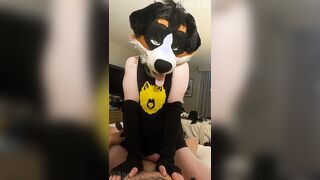 ManedStripes wears AngryBarks